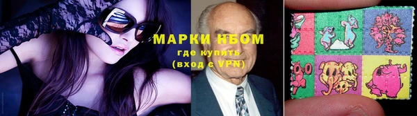 крисы Медногорск