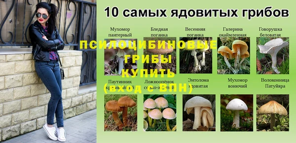 дурь Медвежьегорск