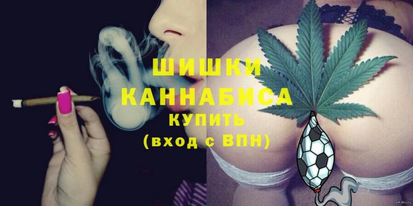 дурь Медвежьегорск